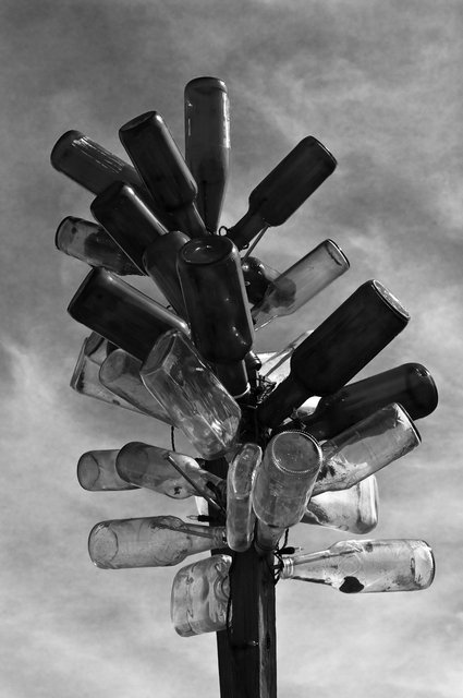 KeithSkeltonDesert (12 of 16).jpg