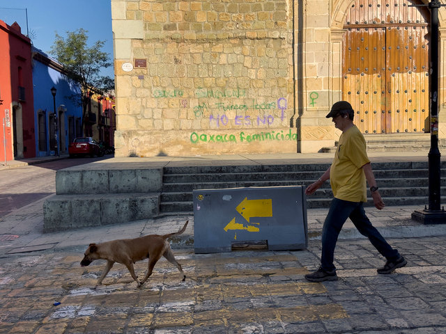 dogfemicide.jpg