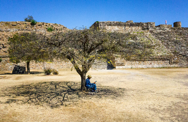 Leyendo debajo de un árbol