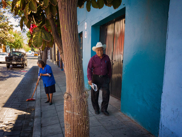 Árbol de la calle y domingo por la mañana