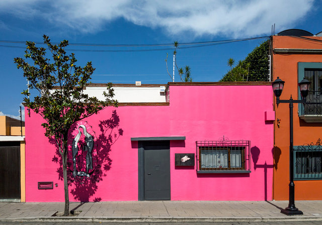 Casa en rosa con Lupita