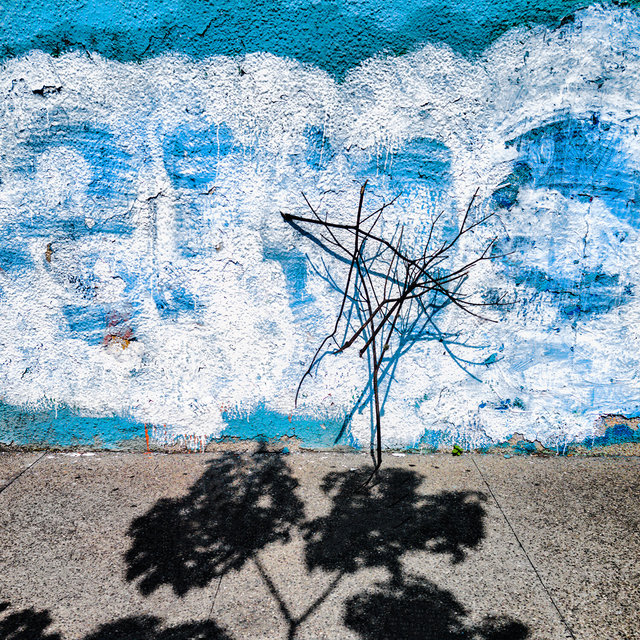 sidewalkshadow.jpg
