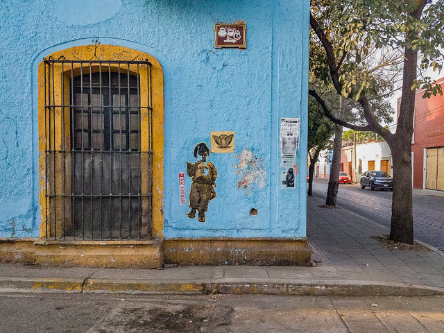 20260307_072559.jpg