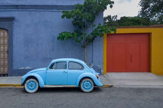 Vocho azul y árbol completo