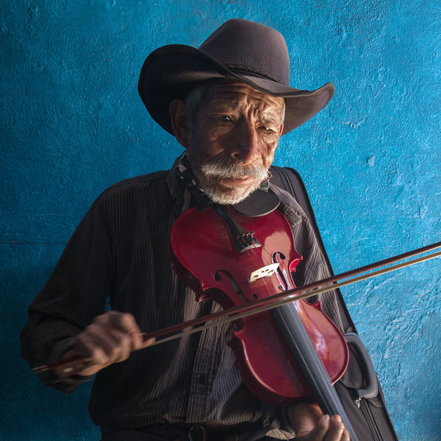 Violinista