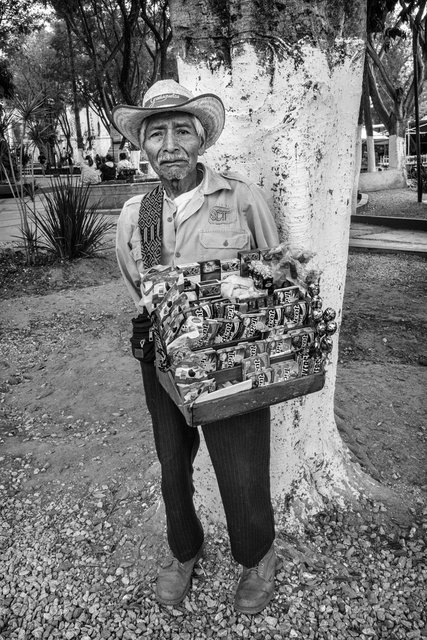 Vendor