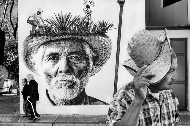 Agave harvest mural