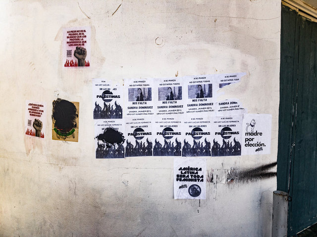 We are not all here, Sandra Dominguez missing. There is no Feminist struggle without women.