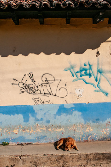 _08T5865.jpg