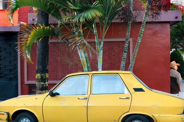 Árboles de Oaxaca con Renault 12