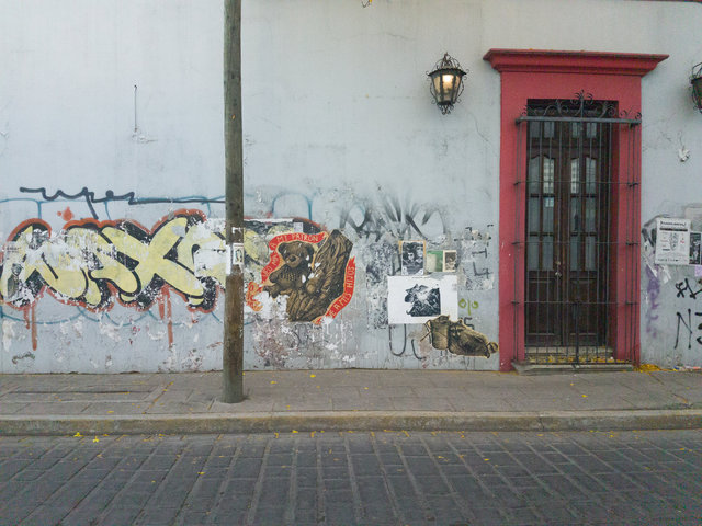20260307_074515.jpg