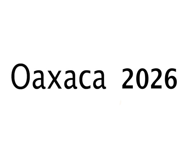 oaxaca2008.jpg