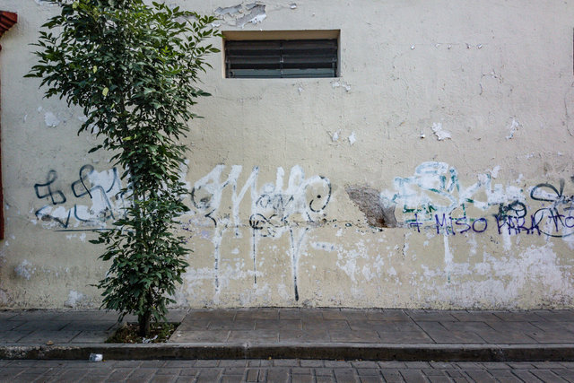 20190729_085629.jpg