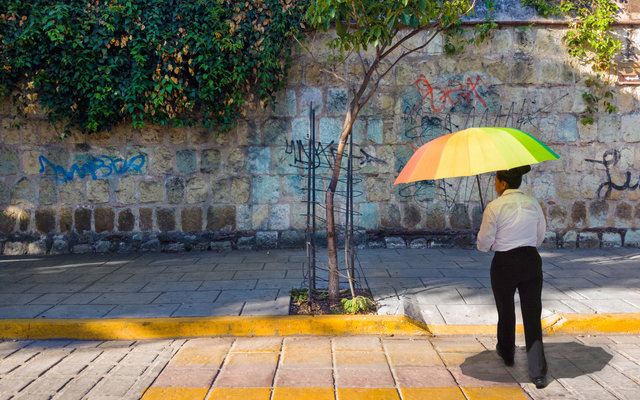 tree_umbrella_15_24_print.jpg