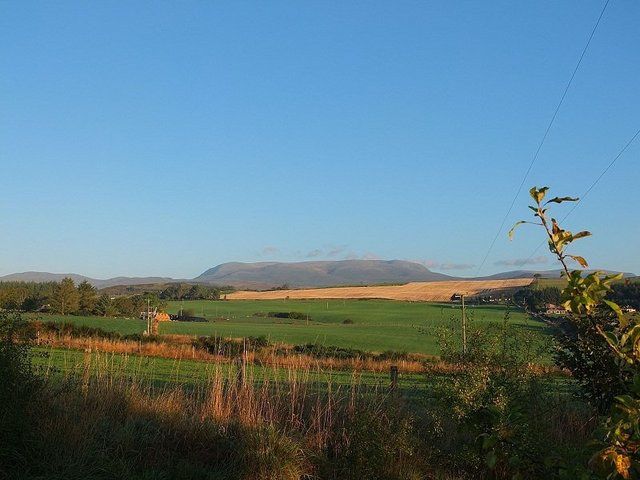 Early Morning Light by Alison Gracie