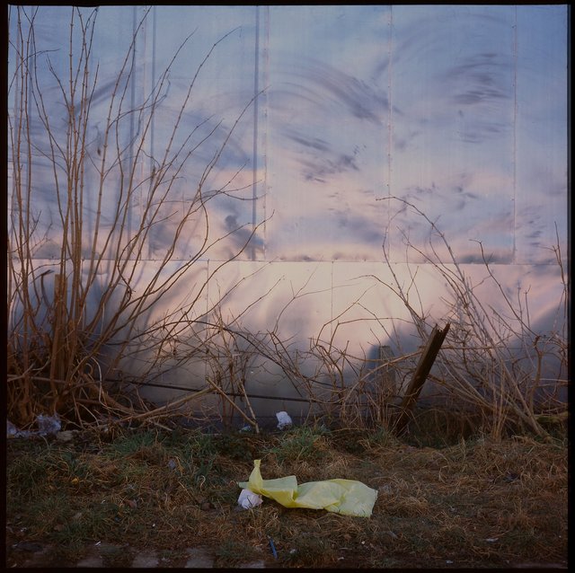 5 2020 Praha : 6X6378.jpg