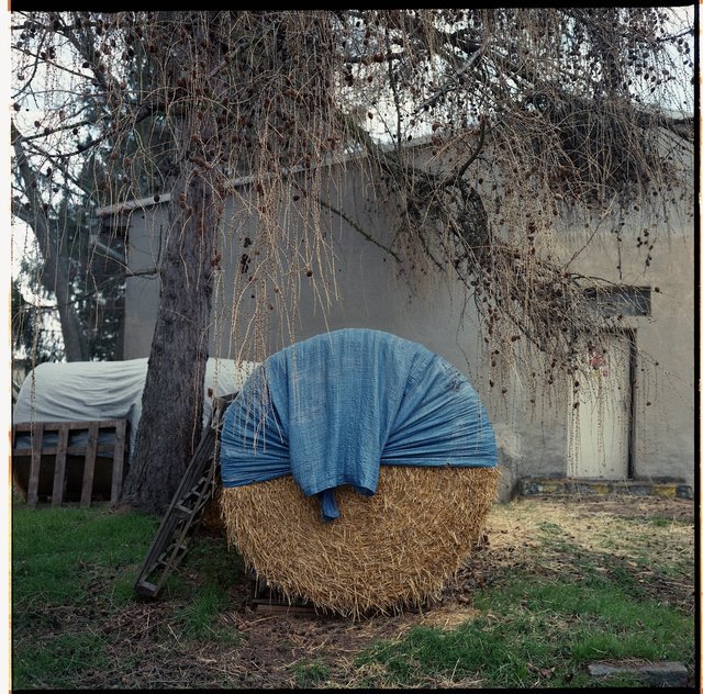 30 2020 : KlecanyPRG:6X6823.jpg