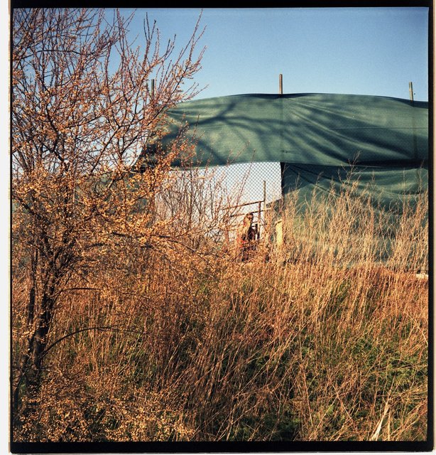 29 2020 : KlecanyPRG:6X6817.jpg