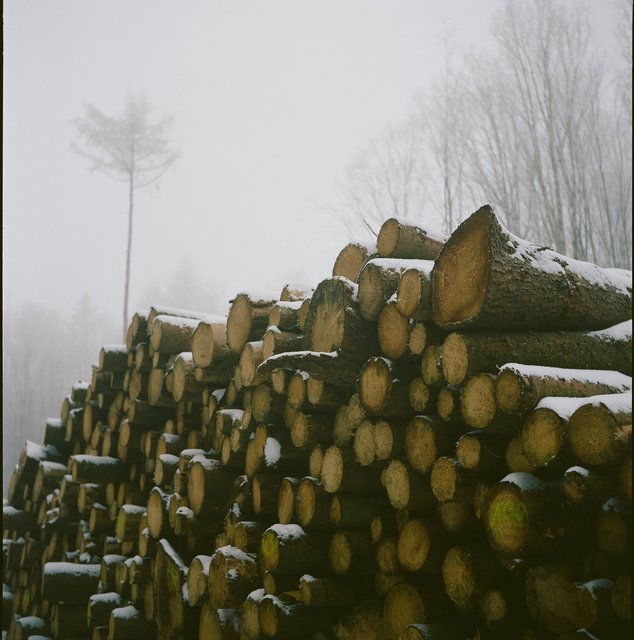 199 Lesonice / Czech Republic