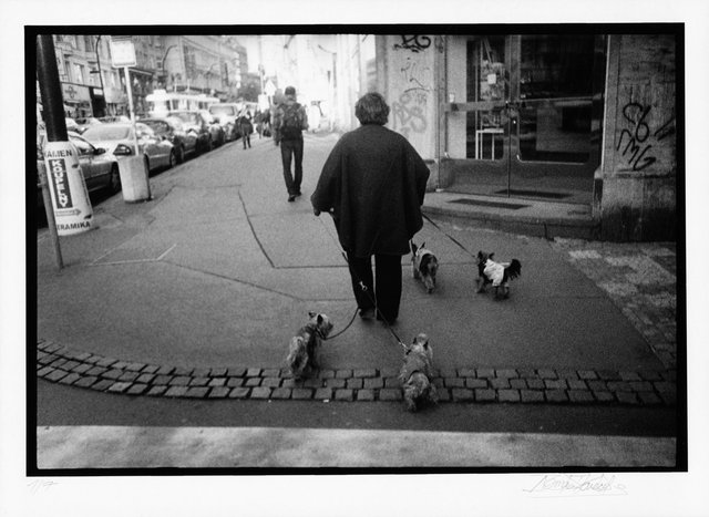 N á r o d n í  třída____