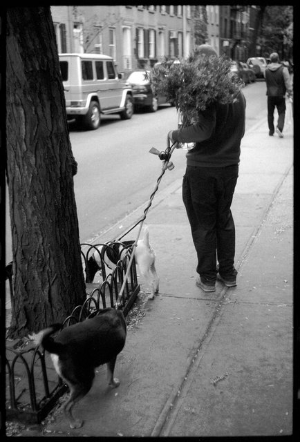 test cananada 9 : Tmax.jpg