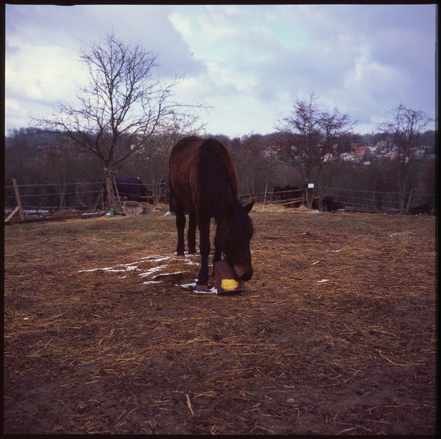 28 2020 : KlecanyPRG:6X6799.jpg