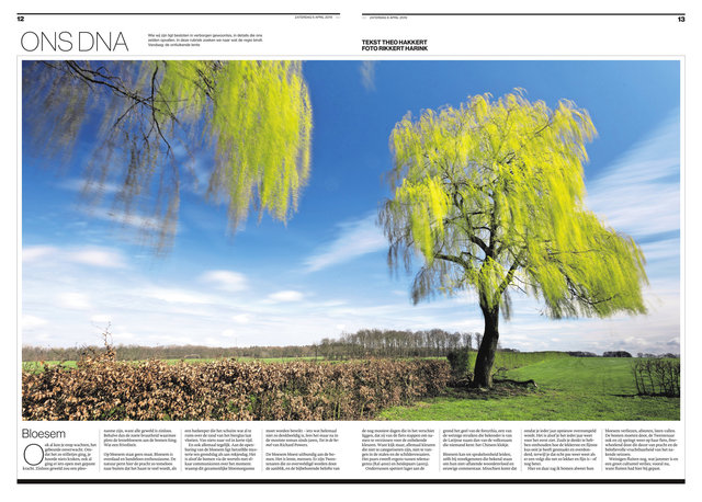 crop_2019-04-06_Tubantia_-_Almelo_-_06-04-2019_60.jpg