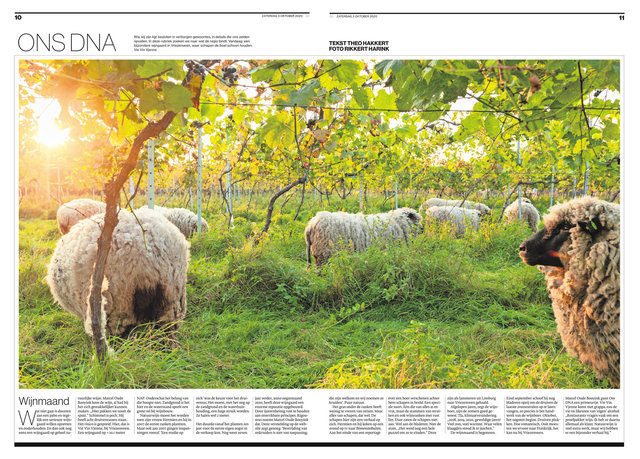 crop_2020-10-03_Tubantia_-_Almelo_-_03-10-2020_58.jpg