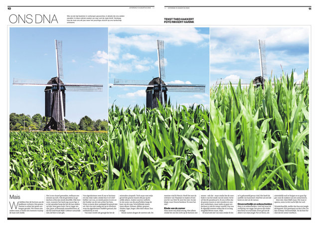 crop_2020-08-15_Tubantia_-_Almelo_-_15-08-2020_58.jpg