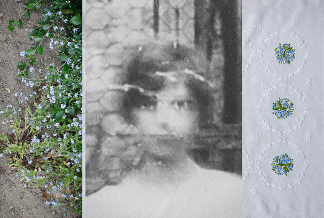 Vergissmeinnicht (Forget-me-not)