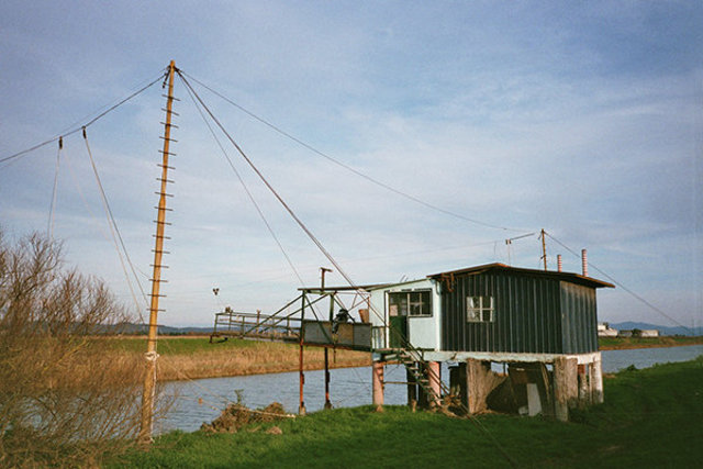 casina-new-tds.jpg