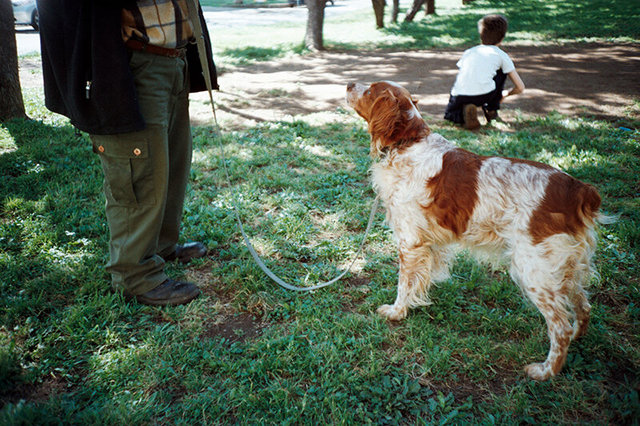 ct rino cane giard.jpg