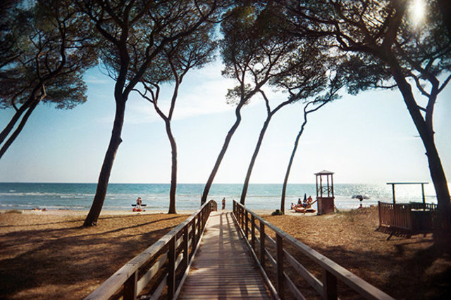 view-beach-pontile-pineta.jpg