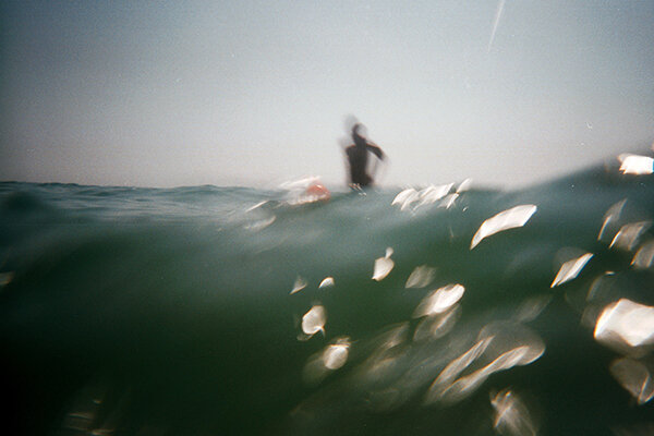 shark-blur.jpg
