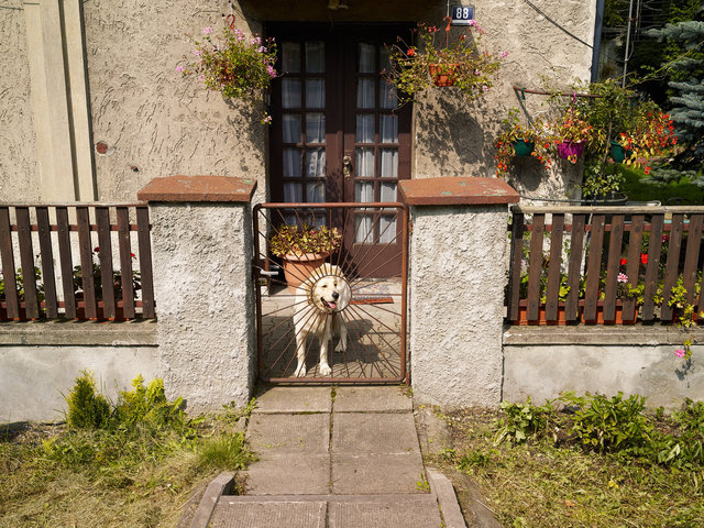 Oświęcim, Poland 2014