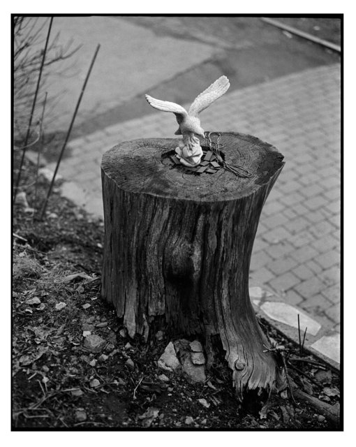 Pentax67II-(36).jpg