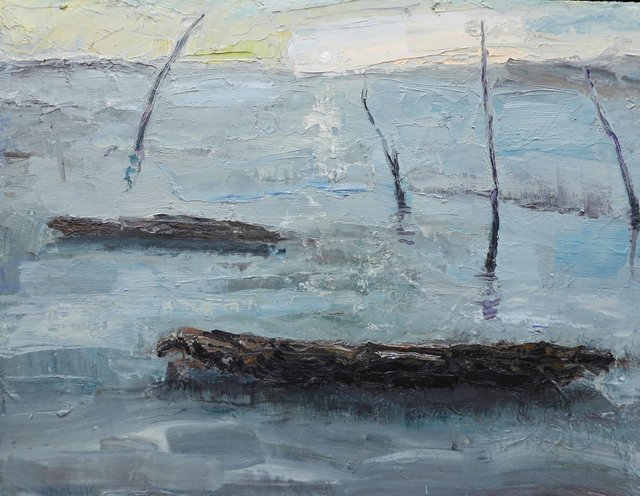 Barques en hiver