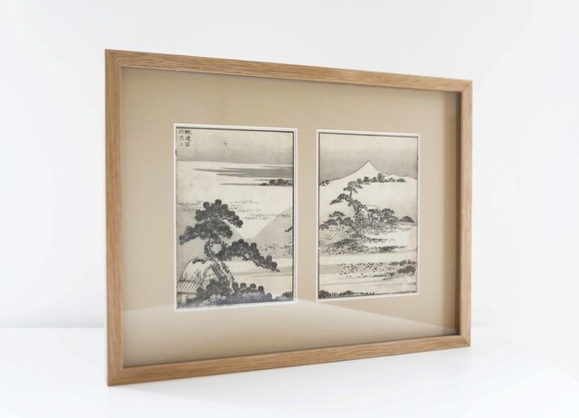 Mont Fuji depuis les marais