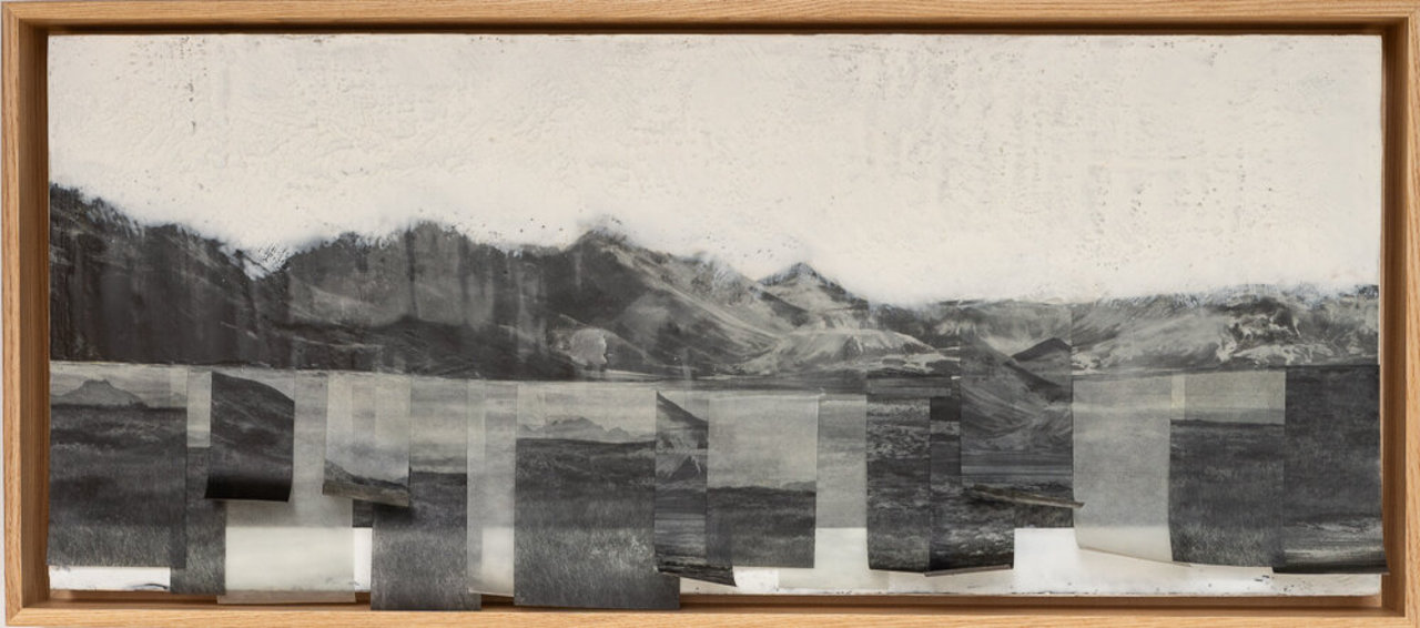 Sandy Middleton Artist