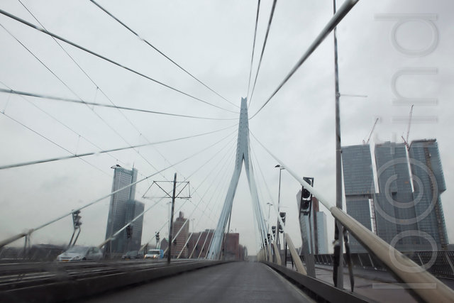 _MG_8274.jpg
