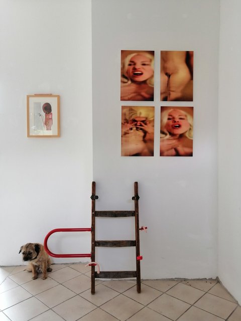 Helena_Hartmannn_Laura_from_the_Glas_Menagerie_2025.jpg