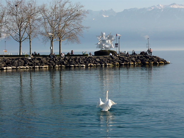 The harbour at Ouchy (20) VB.JPG