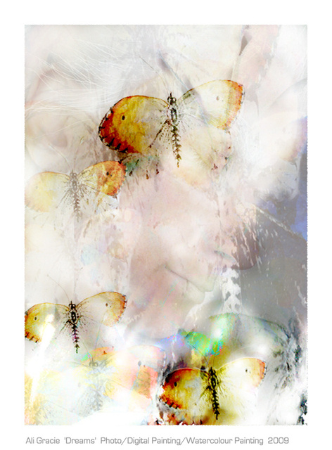 Dreams by Ali Gracie