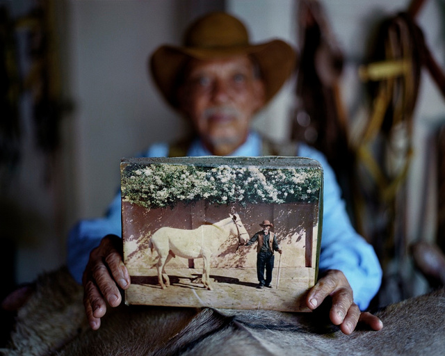 The horse Whisperer