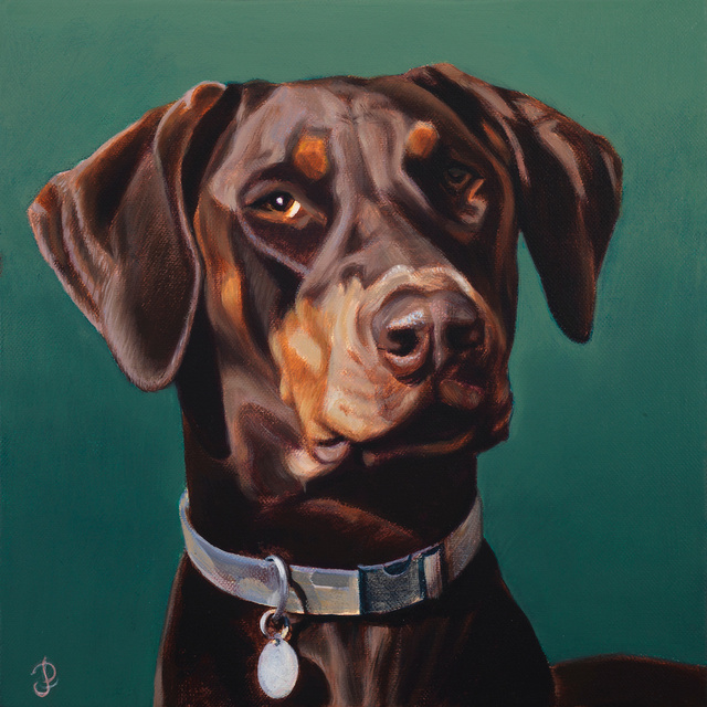 Breed: Doberman / "Daisy"