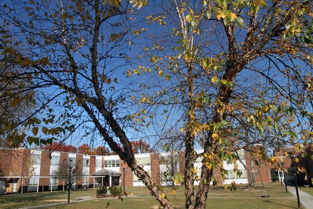 N_ENCSD_Campus_6516 (Copy).jpg