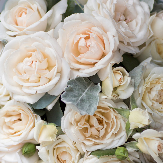 THE DETAILS-6.jpg