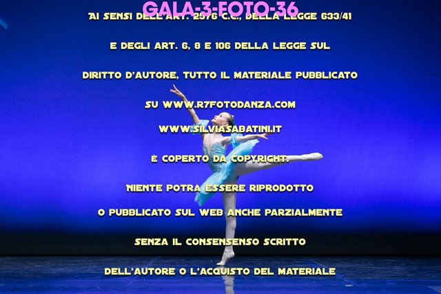 GALA-3-FOTO-36.jpg
