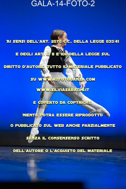 GALA-14-FOTO-2.jpg
