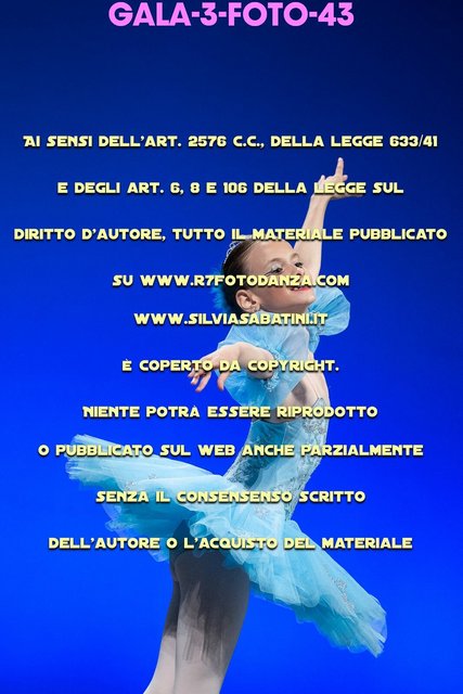GALA-3-FOTO-43.jpg